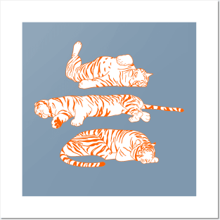 Sleeping Tigers Posters and Art